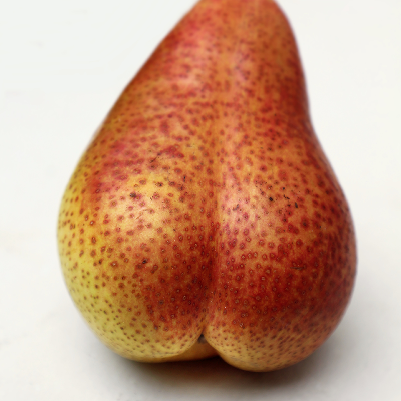 shockwave therapy for treating cellulite